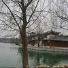 qijia - @qijia57 - TikTok