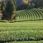 吉川千代光 - @qiandaiguang - Instagram