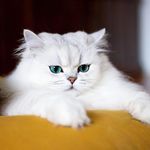 Qian DU - @qian.du.167189 - Instagram