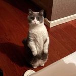 @qian_duoji - Instagram