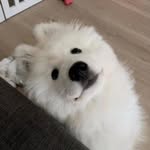 Qianyi Ok - @qianyiok - Instagram