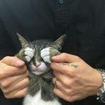 Qiang Hao - Facebook