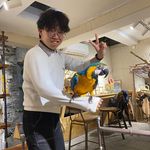 Qiang.Hao - @_qianghao_ - Instagram