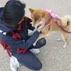 qiaohan346 - @qiaohan346 - TikTok