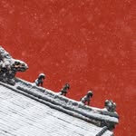 Qifeng Sun - @lyra_lalala57 - Instagram