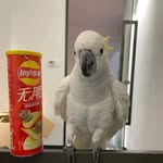 孙启峰 - @sunqifengsun - Instagram