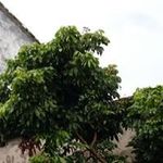 Qimei Chen - @qimei.chen.16 - Instagram