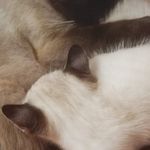 Qimei Chen - @qimei.chen.10 - Instagram