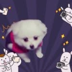 qIn雯 - @qin_wen - Instagram