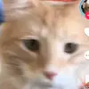 qinglei6577 - @qinglei6577 - TikTok