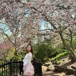 Qing Wang - @qing_wang0628 - Instagram