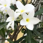 Qing Wang - @qing.wang.7739814 - Instagram