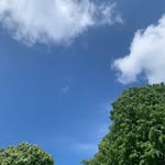 Qingqing Yang - @qingqing3337 - Instagram
