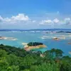 qingqingyang36 - @qingqingyang36 - TikTok