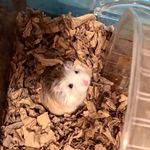 Qingyi Wang - @qingyi435 - Instagram