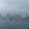 qingyiwang06 - @qingyiwang06 - TikTok