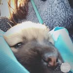 qingyiwang - @qingyiwang0710 - Instagram