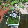 Quan Tạ - @quan.t54 - TikTok