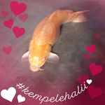 Quân Thach - @quan.thach.5076 - Instagram