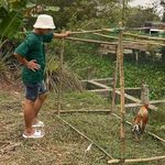 Quan Thach - @quan.thach.129794 - Instagram