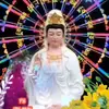 bật nấp quan tài hôn e lan cui - @trongtrang36596 - TikTok