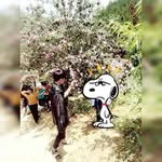 Quậy Lý - @piiupu - Instagram