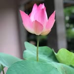 Quay Ly - @quylyvinh - Instagram