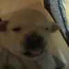 Baker_Queen - @baker_queen - TikTok
