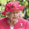 Queen.Booth8 - @queen.booth8 - TikTok