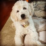 @queen.finley.of.dood - Instagram