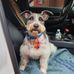 Quentin Guy - Facebook