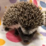 Quill Smith - @quil.smith - Instagram