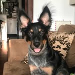 Quill Severus - @quillseverusjohnson - Instagram