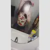 ashleyquinn.n - @ashleyquinn.n - TikTok