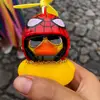 quinchu - @quinchu3 - TikTok