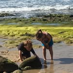 Marlow Quinn McDonald - @marlowquinnmcdonald - Instagram