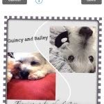 @bailey_quincy - Instagram