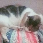 Quincy - @quincy_bailey_2016 - Instagram