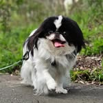 Quincy Baxter - @the_quincy_baxter - Instagram