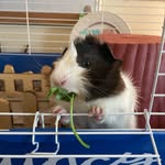 Quincy Baxter - @quincbysurprise - Instagram