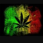 @quincy_black_13_ - Instagram