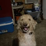 Quincy Boyd - Facebook