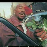 omar quincy gordon - @finding_my_steps - Instagram