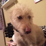 @quincy_gordon - Instagram