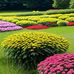 Quincy Joseph - Facebook
