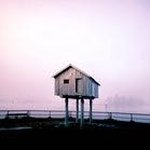 Quincy Larson - @qunlizz - Instagram
