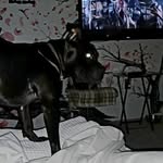 Quincy Pratt - @prattquincy - Instagram