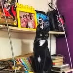 Quincy - @quincyprattfy09 - Instagram