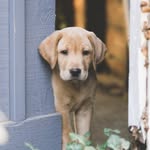 Quinn Ackerman - @quinn_the_cutie - Instagram