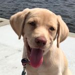 Quinn Bennett - @mellowyellowqball - Instagram